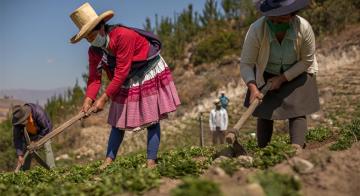 Formagro lanza edición extraordinaria del Fondo Wiñay en Lima y Áncash