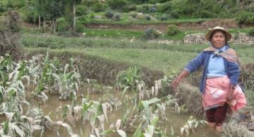 Frente Amplio pide la incorporación de medidas de emergencia para el sector agrario