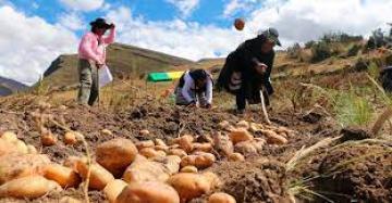 Gobierno crea Gabinete de Desarrollo Agrario y Rural