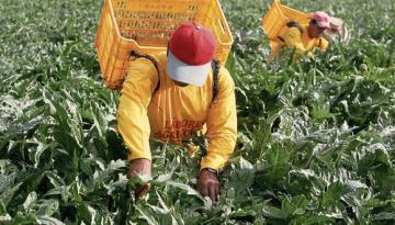 Gobierno plantea que trabajadores cuenten con garantía de recontratación