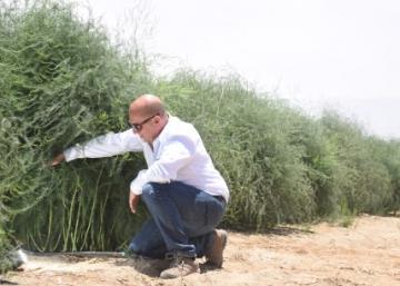 Grupo Avibiol a la vanguardia en el control del cadmio en los suelos agrícolas del país