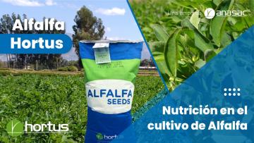 Hortus: Las claves para una adecuada fertilización de la alfalfa