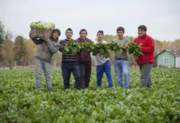 IICA lanzó desafío para construir la Comunidad de Jóvenes Rurales de las Américas