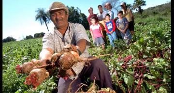 IICA y Cooperativas de las Américas crean programa para la digitalización de servicios cooperativos en favor de la agricultura familiar