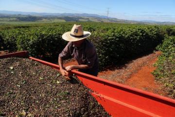 Importadores de café están acumulando ante temores por los cierres de emergencia debido al coronavirus