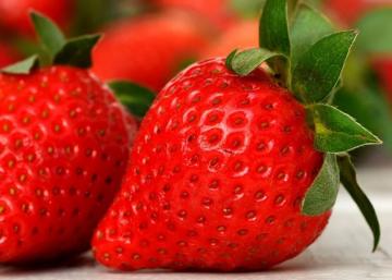 Importante incremento en exportación de fresas peruanas: suman US$ 19 millones hasta agosto de 2021