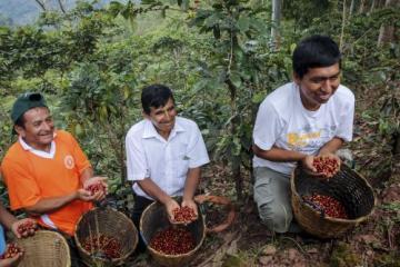 Inacal impulsa fortalecimiento de calidad para mejorar exportación de café