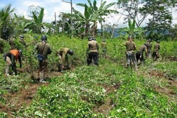 Indemnizaciones por Seguro Agrícola Comercial superan los S/ 20 millones entre 2013 y 2019