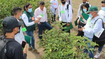 INIA capacita a productores en manejo agronómico del algodón