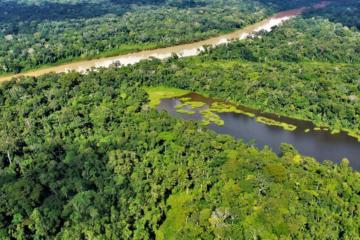 Iniciativa de CAF permitirá proteger 300.000 hectáreas de bosques amazónicos