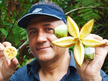 Investigarán especies de flora silvestre de Perú para identificar fármacos naturales