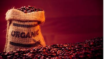 JNC: Perú casi duplicó producción de café orgánico en la última década