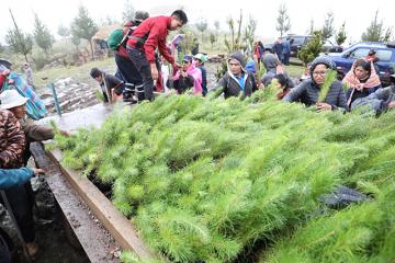 Junín: nuevo vivero permitirá producir 50 mil plantones