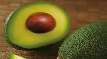 'Juventud' de industria de palta peruana ha influido en eficiencia hídrica