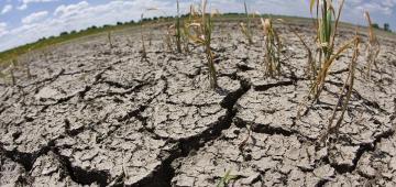 La agricultura en la COP 26