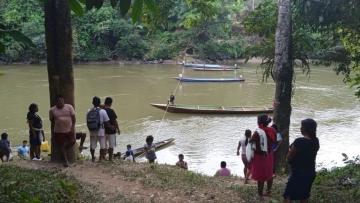 La minería ilegal impacta en la producción de cacao