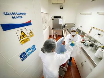 Laboratorios de Sanipes obtienen resultados satisfactorios en ensayo internacional por cuarta vez consecutiva