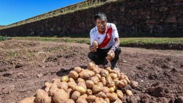 Lanzan campaña 