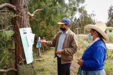 Lanzan escuelas de campo para mejorar la inocuidad de los alimentos agropecuarios producidos en Cajamarca