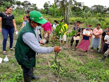 Ley de Promoción y Extensión Agropecuaria incrementará productividad y competitividad de la agricultura familiar