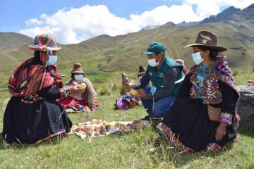 Más de 16 mil productores de papa trabajan con el Senasa en resguardo de la producción de dicho cultivo