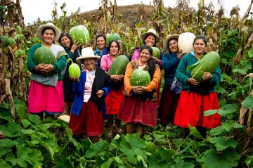 Más de 45 mil agricultores mejoran la calidad de sus cultivos con proyectos de innovación