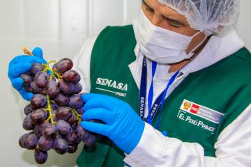 Medidas de inocuidad llevan alimentos sanos a la mesa de los consumidores