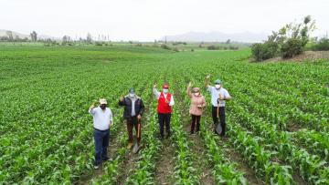 Minagri y Backus firman acuerdo por compra de 45 mil toneladas de maíz amarillo