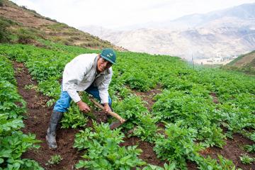 Minagri y Conveagro acuerdan modificar norma para que crédito de fondo Agroperú llegue a pequeños productores