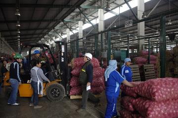 MTC: Los productos alimenticios están llegando a los mercados de abastos con total normalidad