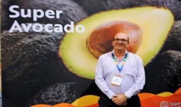 Muchas de las inversiones planificadas en palta se están derivando a otros países, siendo Colombia uno de los principales