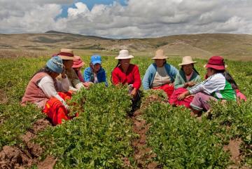 Mujeres rurales del país accedieron a más créditos en los últimos dos años