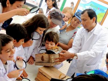 Municipalidad de Miraflores aprueba ordenanza que promueve la conservación de las abejas y otros polinizadores