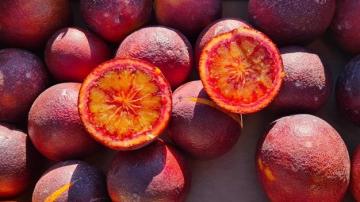 Naranja Onix de AmFresh gano Premio a la Innovación de Fruit Logistica