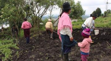 Nueve de cada diez hogares rurales han reducido la cantidad y calidad de sus alimentos durante la pandemia