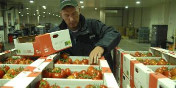 Ocho consejos para buscar compradores de frutas y vegetales frescos en el mercado europeo