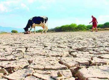 Países de las Américas y empresas agroalimentarias evaluaron con Rattan Lal y el IICA los avances y desafíos del programa Suelos Vivos de las Américas