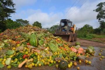 PERDIDAS Y DESPERDICIOS DE ALIMENTOS: HACER MAS EFICIENTES LOS PROCESOS A LO LARGO DE LAS CADENAS DE VALOR