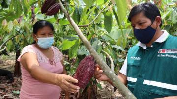 Perú cuenta con 464.546 hectáreas dedicadas a la producción orgánica