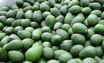 Perú es el principal abastecedor de palta de China