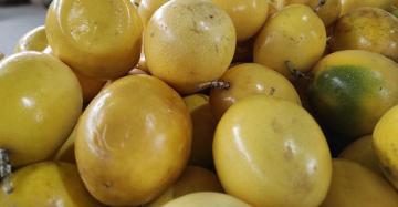 Perú exportó 17.479 toneladas de maracuyá por US$ 59.8 millones en 2024