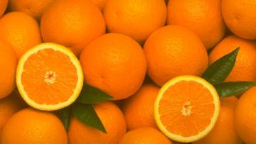 Perú exportó 4.940 toneladas de naranja por US$ 3 millones en el primer semestre de 2025