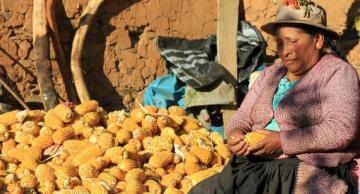 Pichos: el pueblo que prefirió alimentarse solo de maíz para evitar contagios de Covid-19