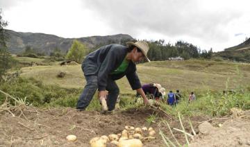 Piden otro bono agrícola para más de un millón de agricultores