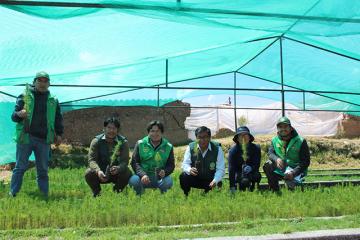 Plantarán 1 millón de árboles en Junín durante la campaña forestal 2019-2020