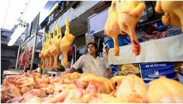 Precio de pollo se estabilizaría en los próximos días