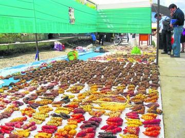 Preservación y valoración de la biodiversidad del país está orientada a recuperar un estilo de alimentación saludable