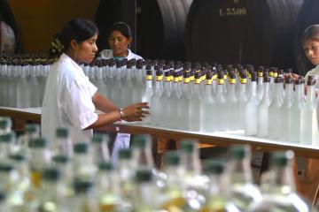 Producción de pisco ascendería a 7.4 millones de litros durante el 2019