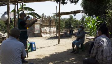 Productores de Chepén y Pacasmayo iniciarán acciones de control de moscas de la fruta