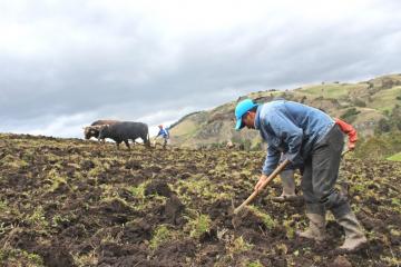 Promulgan Ley 31075 que oficializa creación del  Ministerio de Desarrollo Agrario y Riego